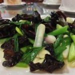Wood fungus with spring onions
