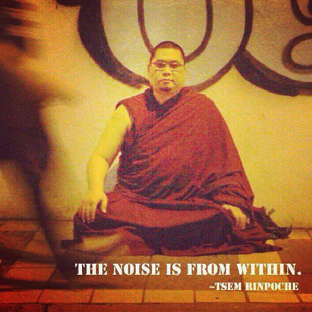 The noise within