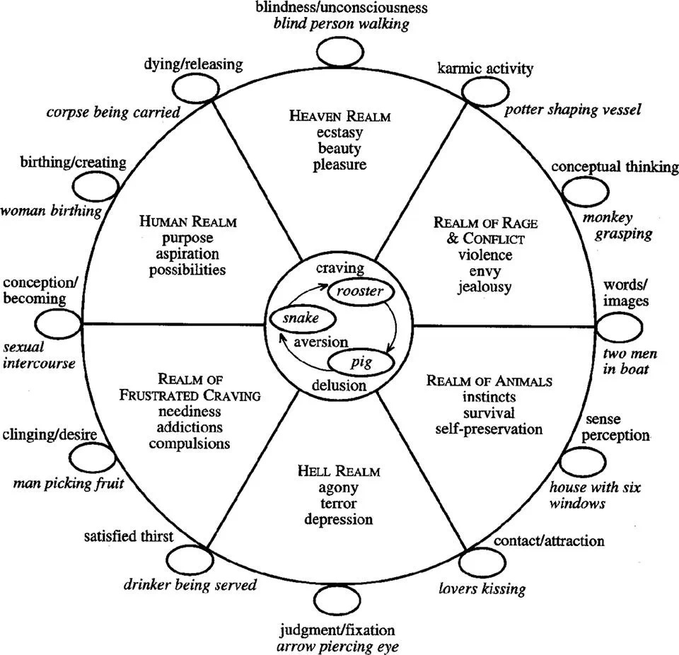 Studying and contemplating on the wheel of life helps us to realise the value of our precious human rebirth, and the dangers of a cyclical one