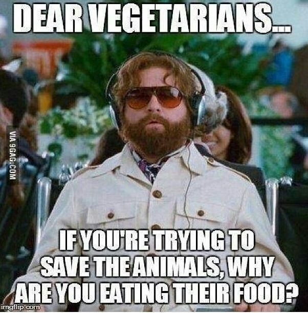 Dear vegetarians